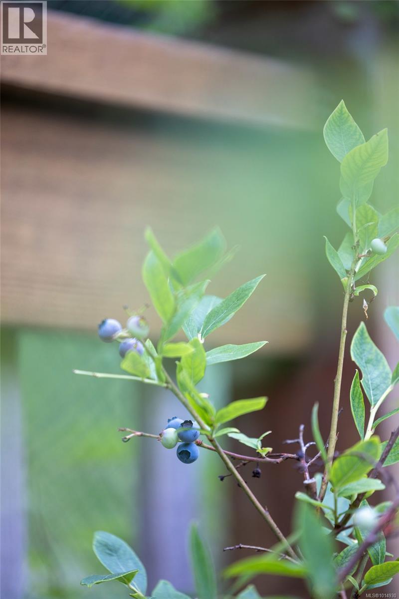 2656 Moncur Rd, Shawnigan Lake, British Columbia  V0R 2W3 - Photo 68 - 1014930