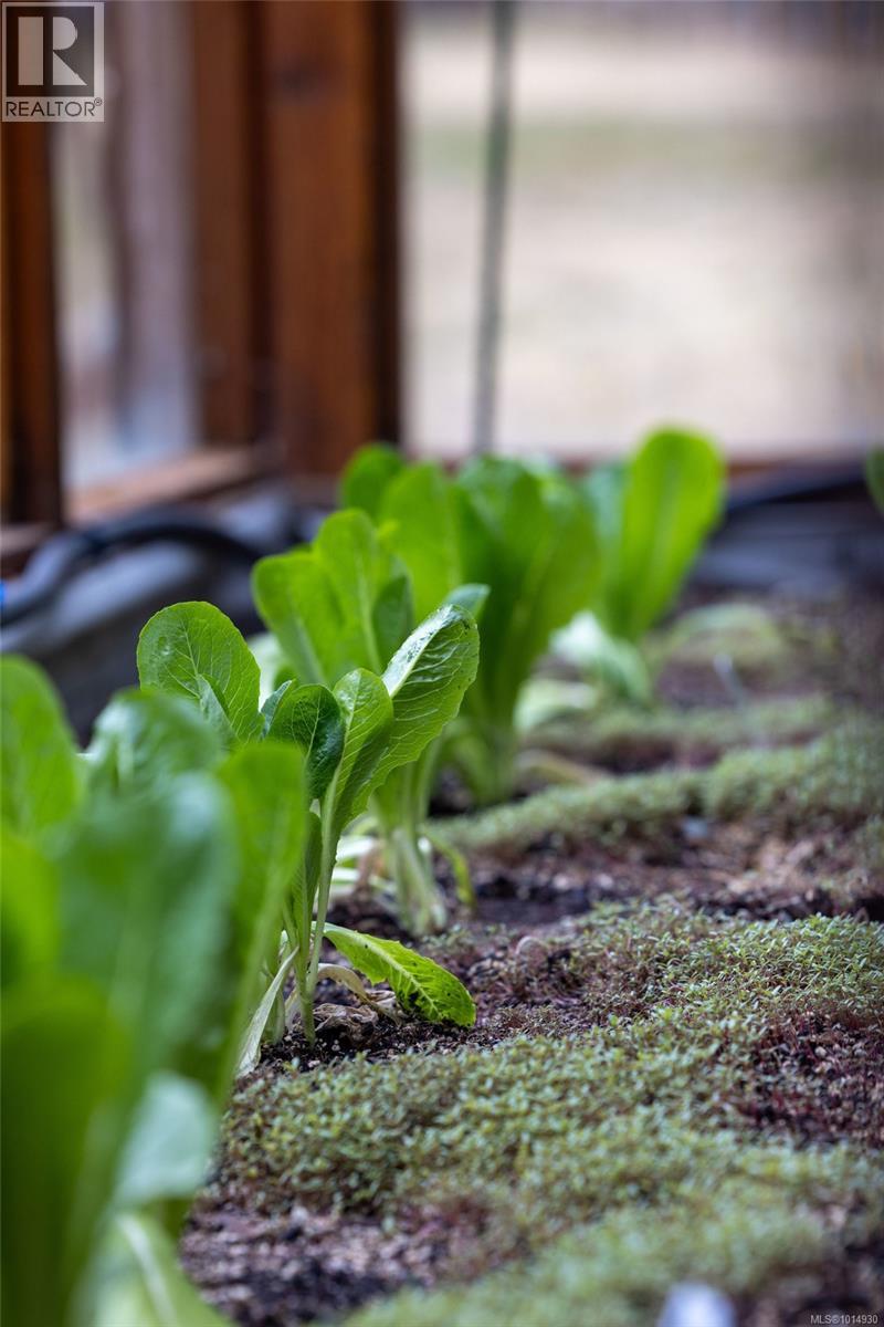 2656 Moncur Rd, Shawnigan Lake, British Columbia  V0R 2W3 - Photo 70 - 1014930