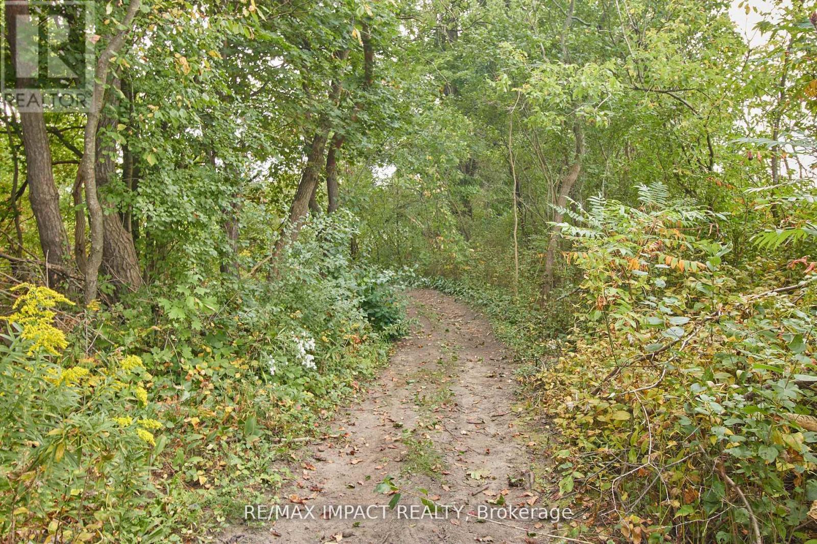 10249 Old Scugog Road, Clarington, Ontario  L0B 1B0 - Photo 23 - E12424615