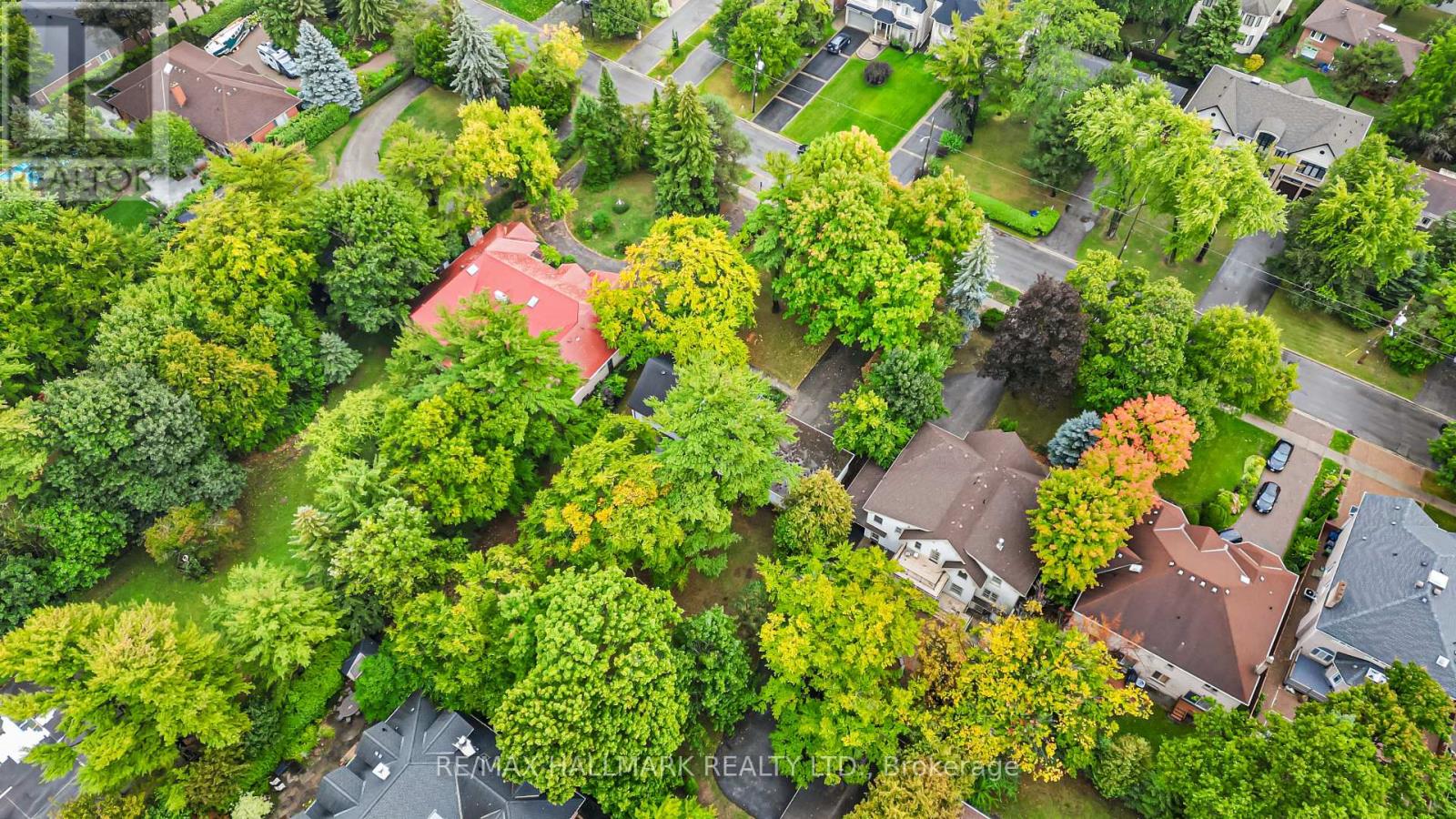 344 Spring Garden Avenue, Toronto, Ontario  M2N 3H5 - Photo 42 - C12424611