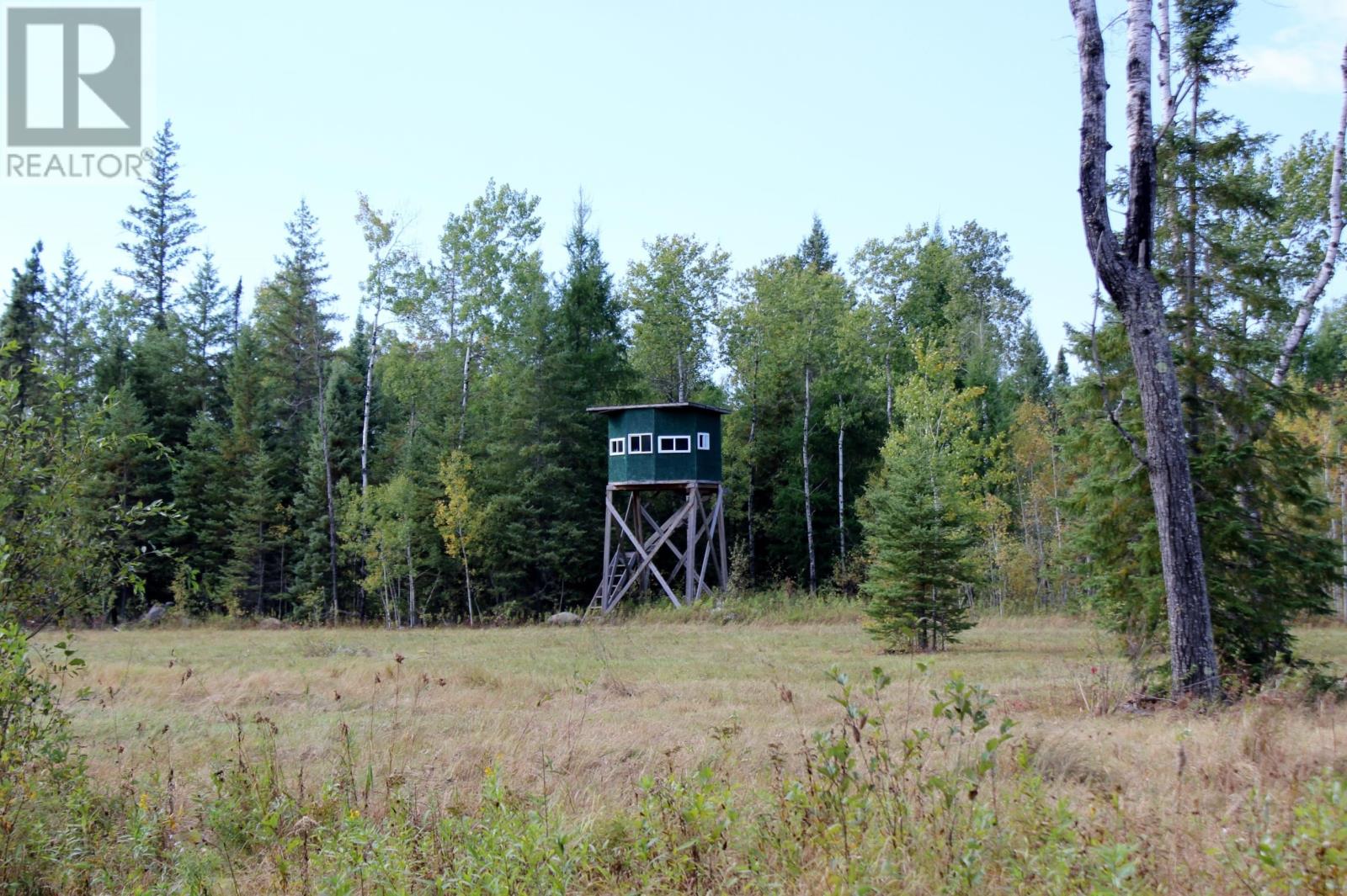 Pcl 19648 Southerland 1 Rd, Pinewood, Ontario  P0W 1K0 - Photo 39 - TB252976