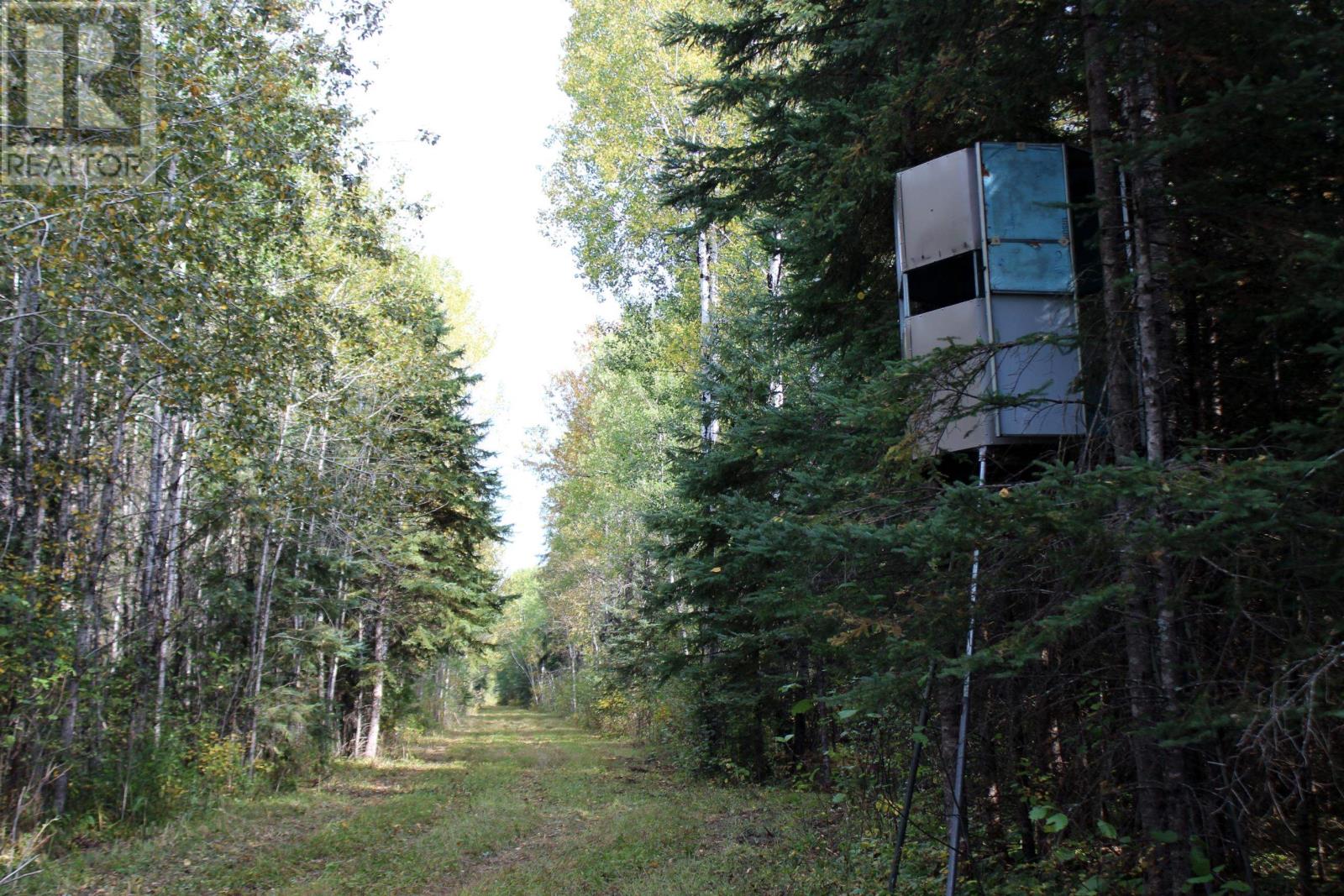 Pcl 19648 Southerland 1 Rd, Pinewood, Ontario  P0W 1K0 - Photo 35 - TB252976