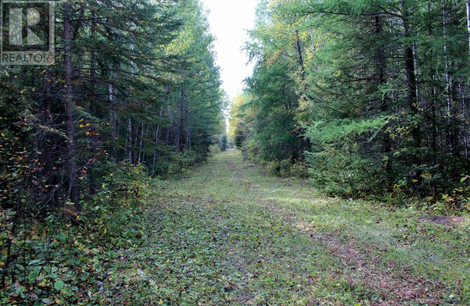 Pcl 19648 Southerland 1 Rd, Pinewood, Ontario  P0W 1K0 - Photo 36 - TB252976