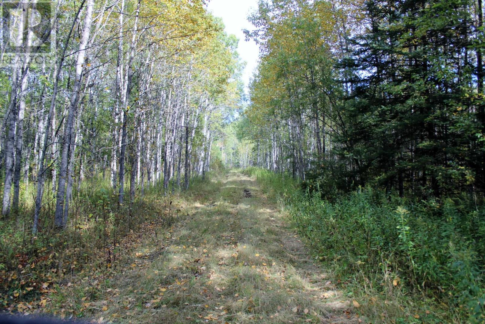 Pcl 19648 Southerland 1 Rd, Pinewood, Ontario  P0W 1K0 - Photo 32 - TB252976