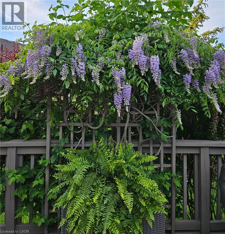 42 Rose Glen Crescent, Niagara-On-The-Lake, Ontario  L0S 1J0 - Photo 32 - 40773364