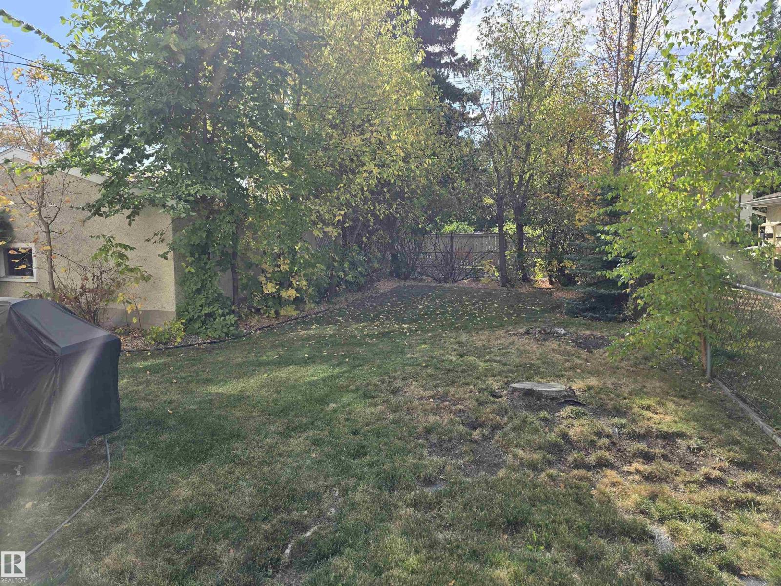 13207 109 Av Nw, Edmonton, Alberta  T5M 2G3 - Photo 40 - E4459278