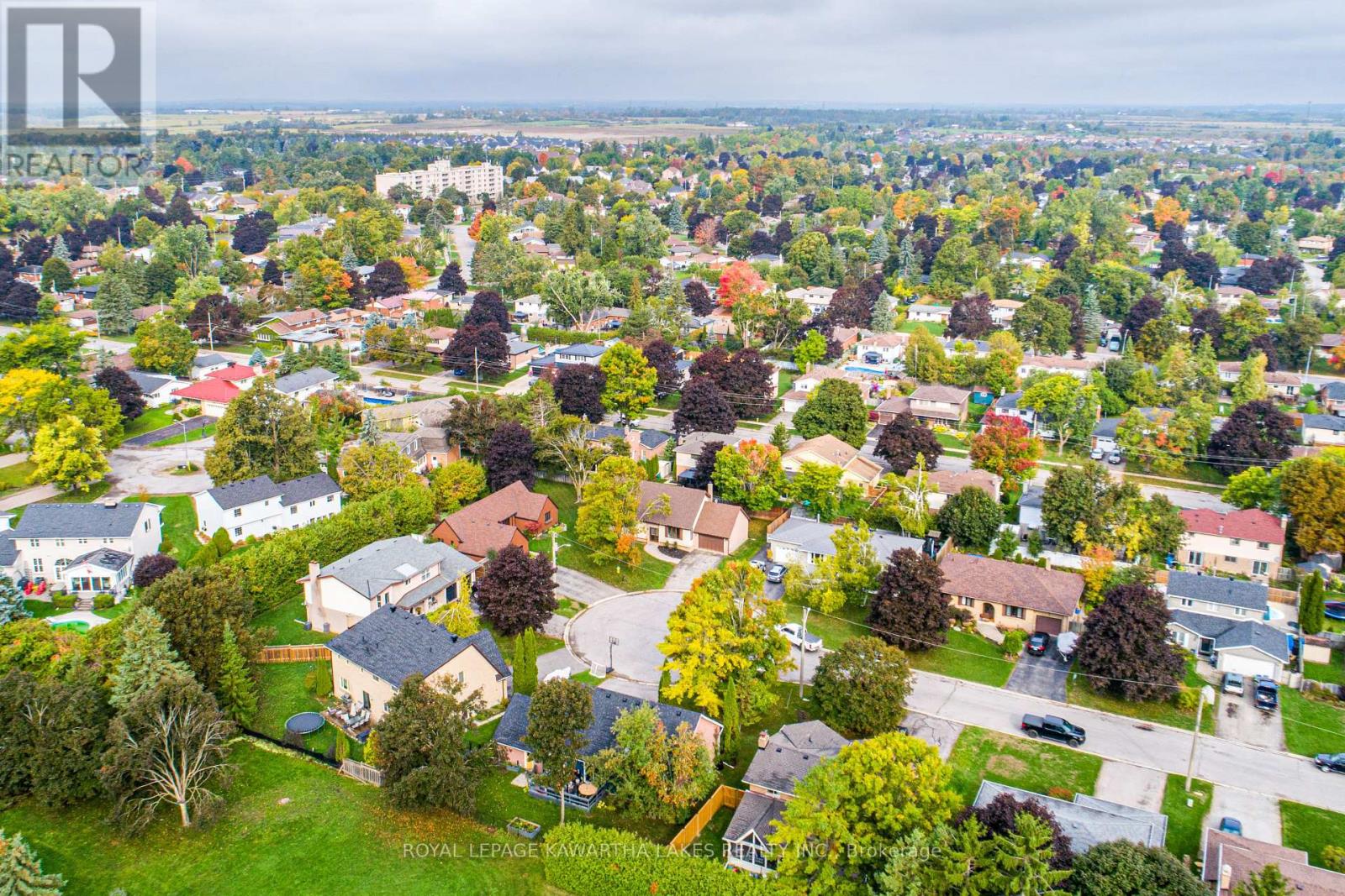 10 Don Court, Kawartha Lakes, Ontario  K9V 5T1 - Photo 41 - X12424844