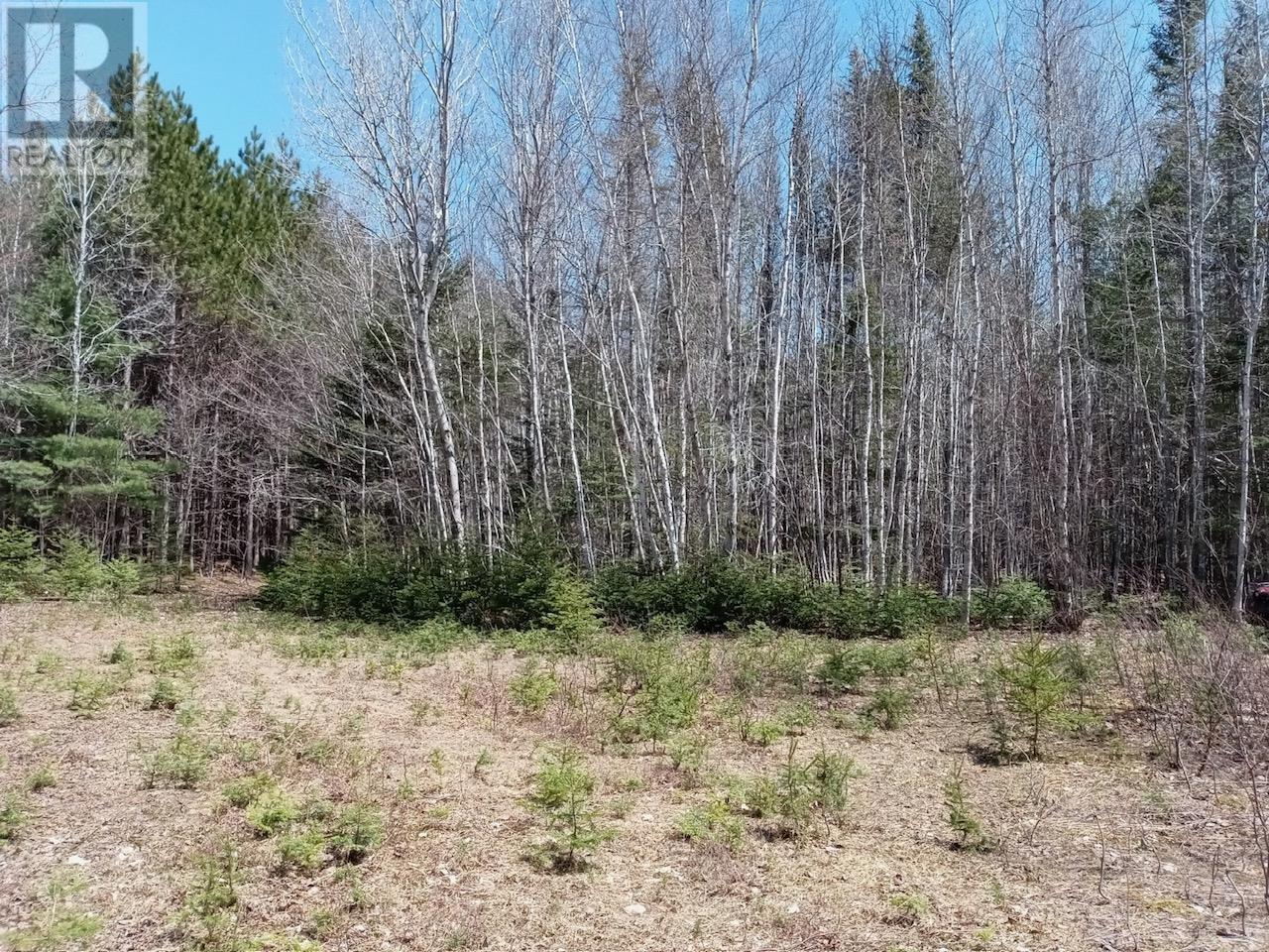Acreage, West Devon, Prince Edward Island  C0B 1H0 - Photo 2 - 202424280