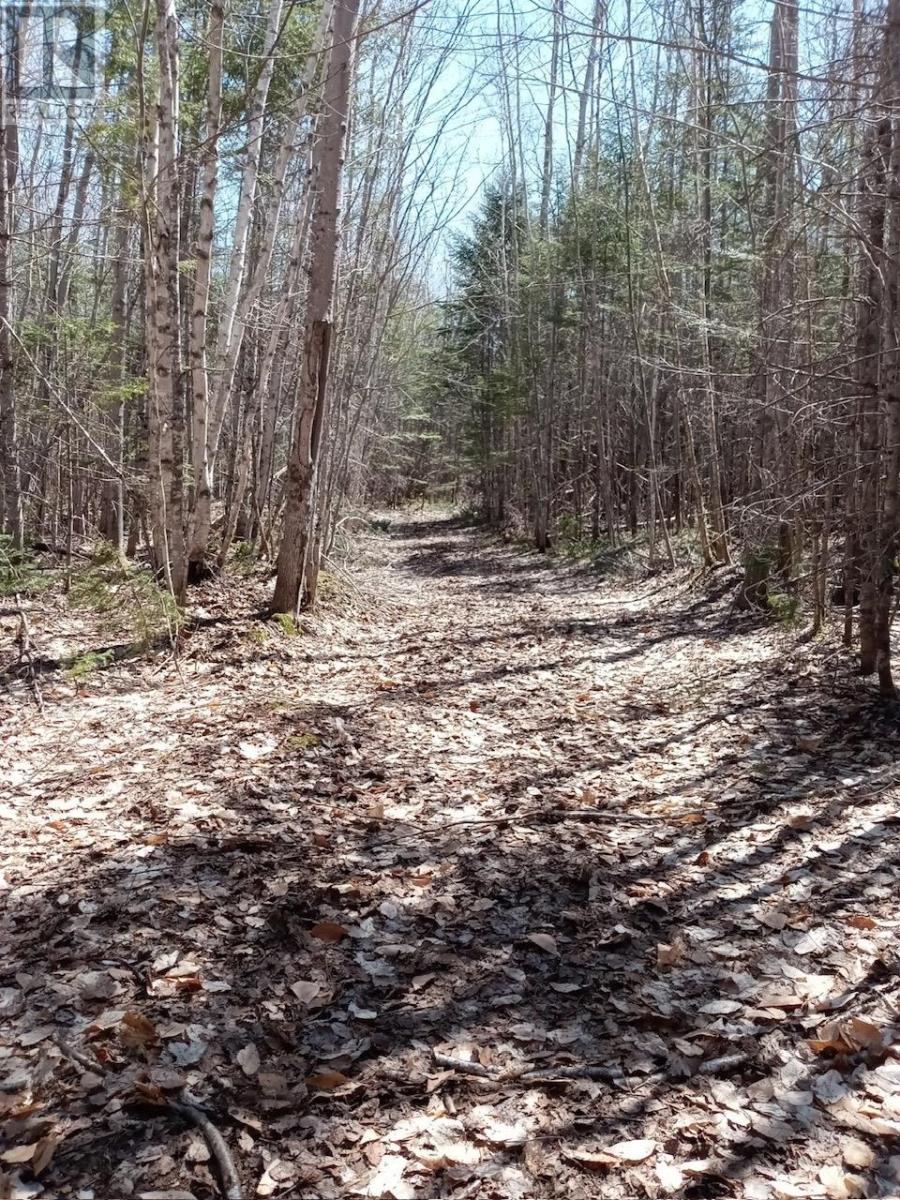 Acreage, West Devon, Prince Edward Island  C0B 1H0 - Photo 3 - 202424280