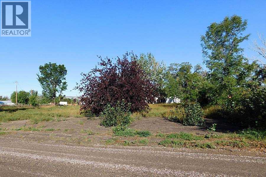 Tigermoth Crescent Ne, Rural Willow Creek No. 26, Alberta  T0L 0T0 - Photo 5 - A2161425