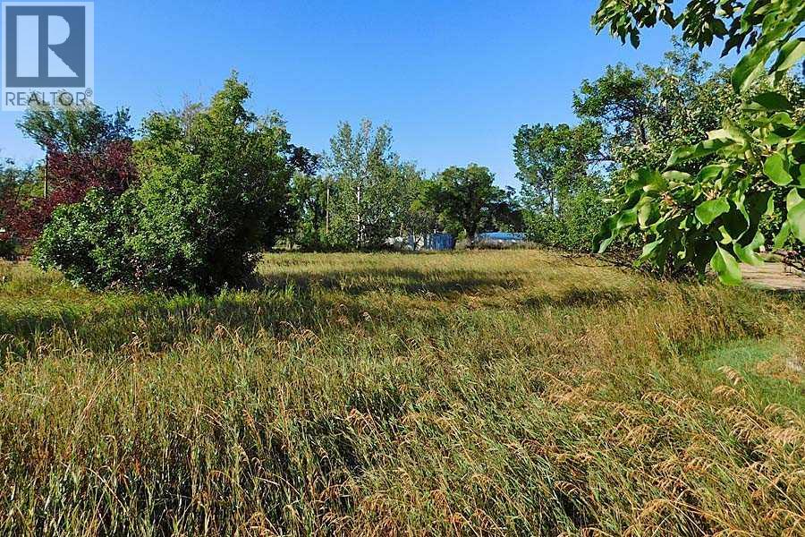 Tigermoth Crescent Ne, Rural Willow Creek No. 26, Alberta  T0L 0T0 - Photo 9 - A2161425