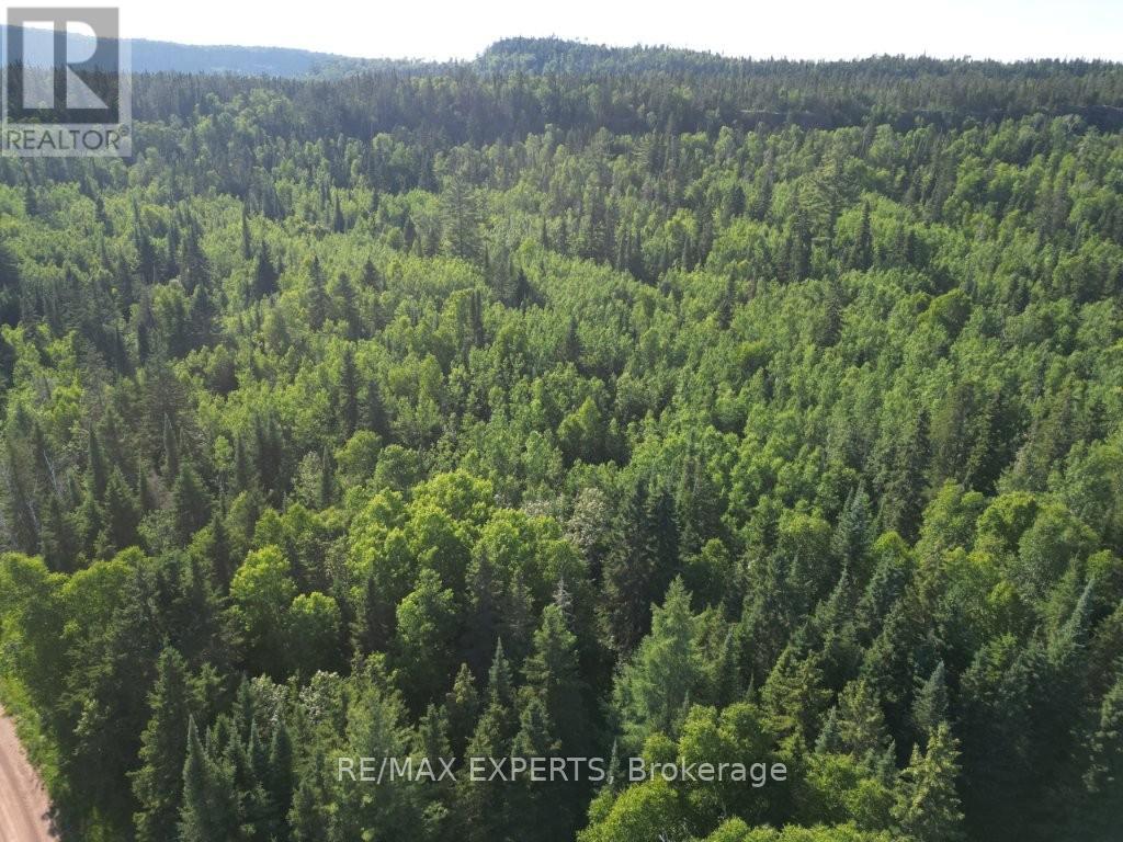 Lot 12 Con 5, Dorion, Ontario  P0T 1K0 - Photo 20 - X12266126