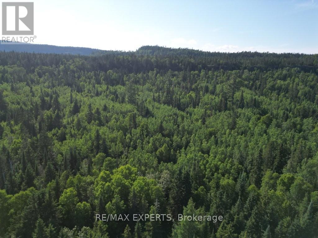 Lot 12 Con 5, Dorion, Ontario  P0T 1K0 - Photo 6 - X12266126