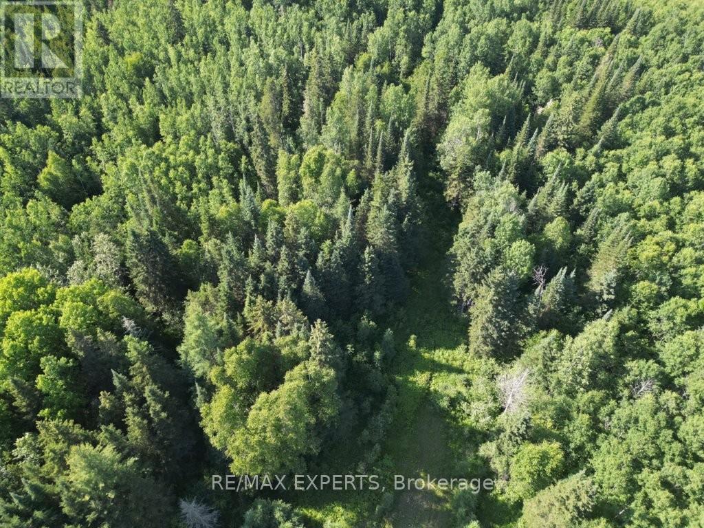 Lot 12 Con 5, Dorion, Ontario  P0T 1K0 - Photo 16 - X12266126