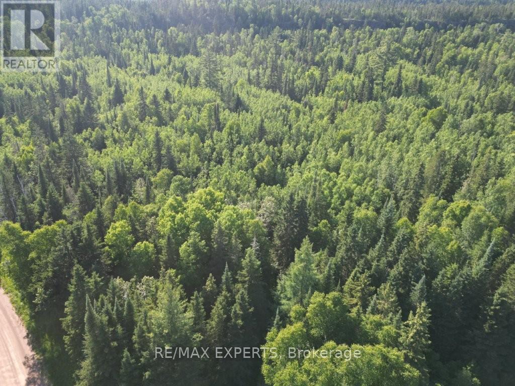 Lot 12 Con 5, Dorion, Ontario  P0T 1K0 - Photo 19 - X12266126