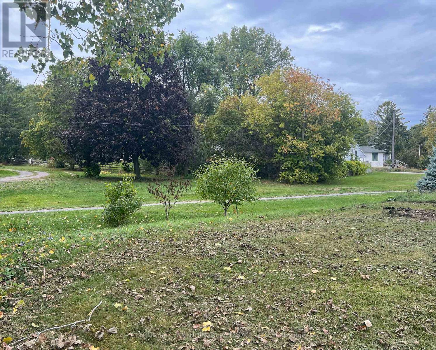87-89 Scott Avenue, Quinte West (Frankford Ward), Ontario  K0K 2C0 - Photo 29 - X12130920