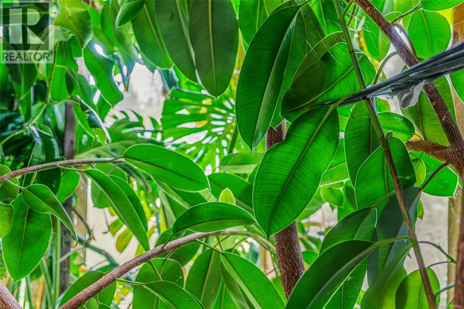 7878 Wardrop Rd, Port Alberni, British Columbia  V9Y 8N2 - Photo 9 - 1014944