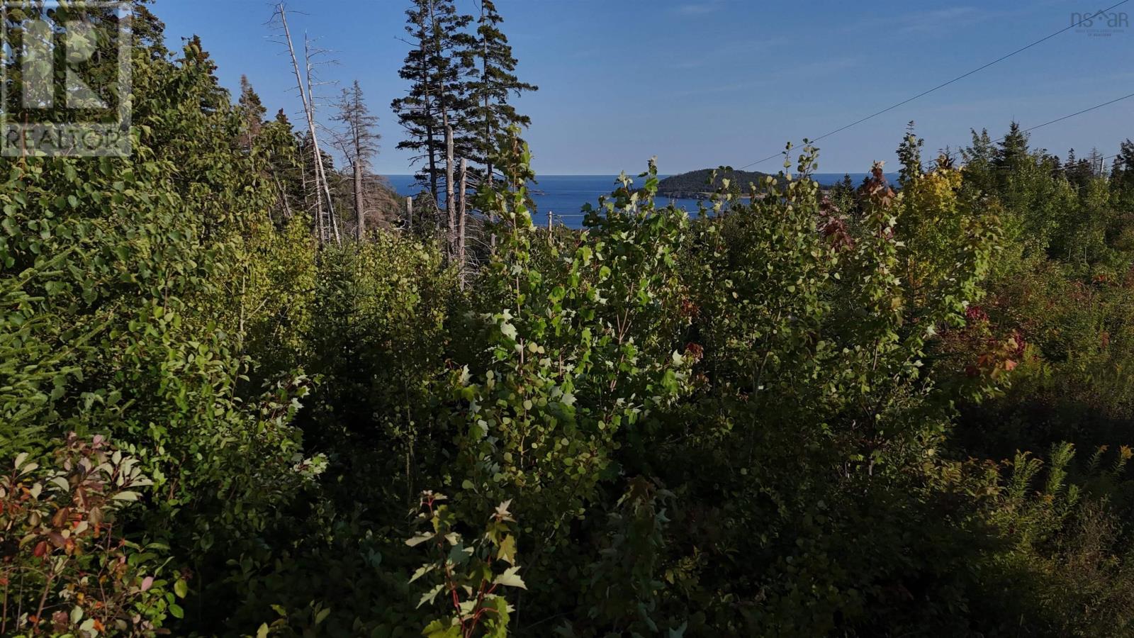 Cabot Trail, Ingonish, Nova Scotia  B0C 1N0 - Photo 6 - 202523633
