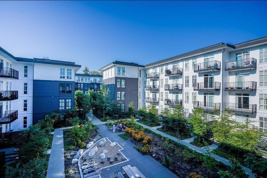 112 13929 105 Boulevard, Surrey, British Columbia  V3T 0R5 - Photo 36 - R3050347