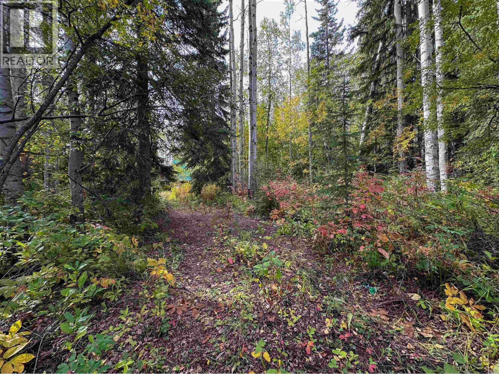 12407 Sowchea Road, Fort St. James, British Columbia  V0J 1P0 - Photo 5 - R3052091