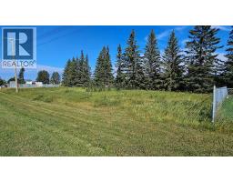 716 Main Avenue W, Sundre, Ca