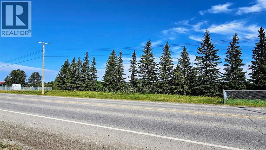 716 Main Avenue W, Sundre, Alberta  T0M 1X0 - Photo 11 - A2160129