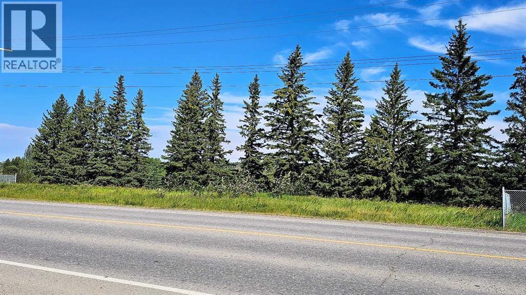 716 Main Avenue W, Sundre, Alberta  T0M 1X0 - Photo 12 - A2160129