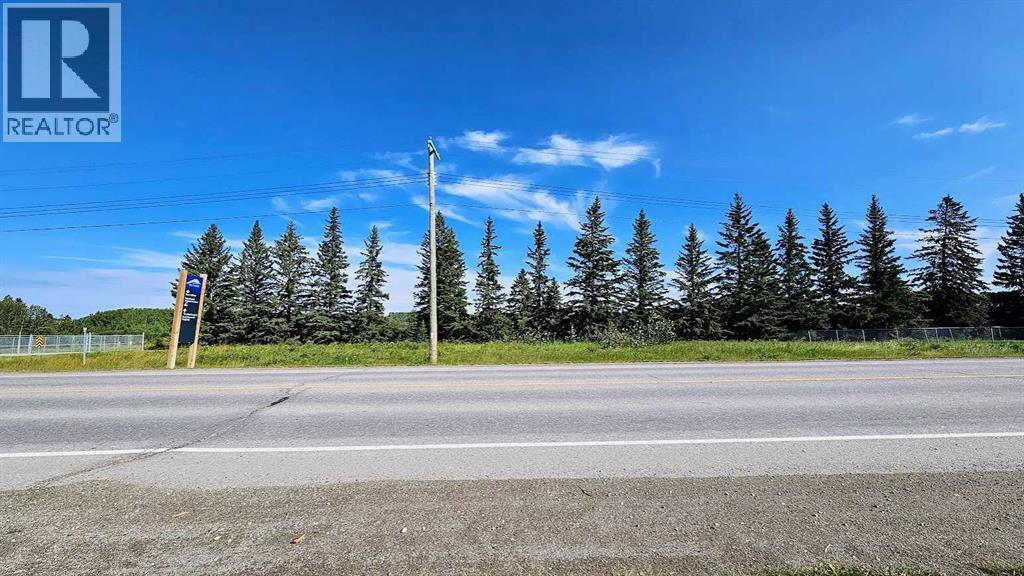 716 Main Avenue W, Sundre, Alberta  T0M 1X0 - Photo 9 - A2160129