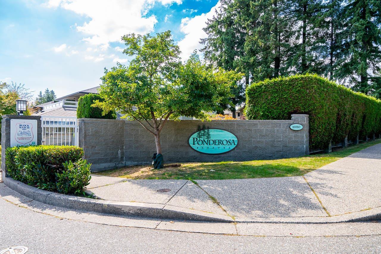 174 16080 82 Avenue, Surrey, British Columbia  V4N 0N6 - Photo 38 - R3048759