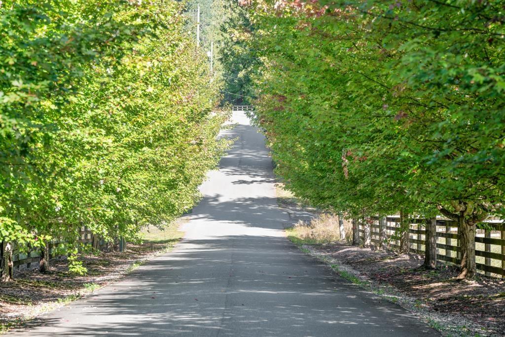 1400 Maple Rock Drive, Columbia Valley, Columbia Valley, British Columbia  V2R 4X5 - Photo 3 - R3051197