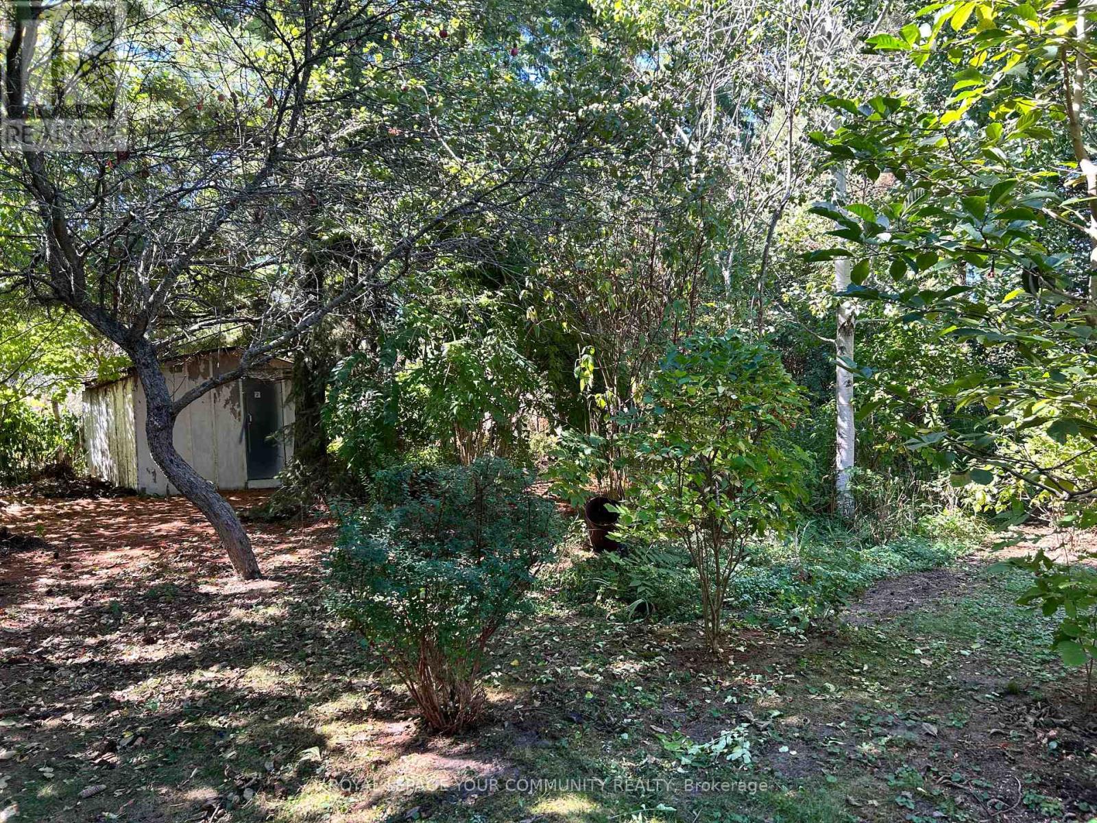 66 Bradford Street, East Gwillimbury, Ontario  L9N 1G6 - Photo 13 - N12425249