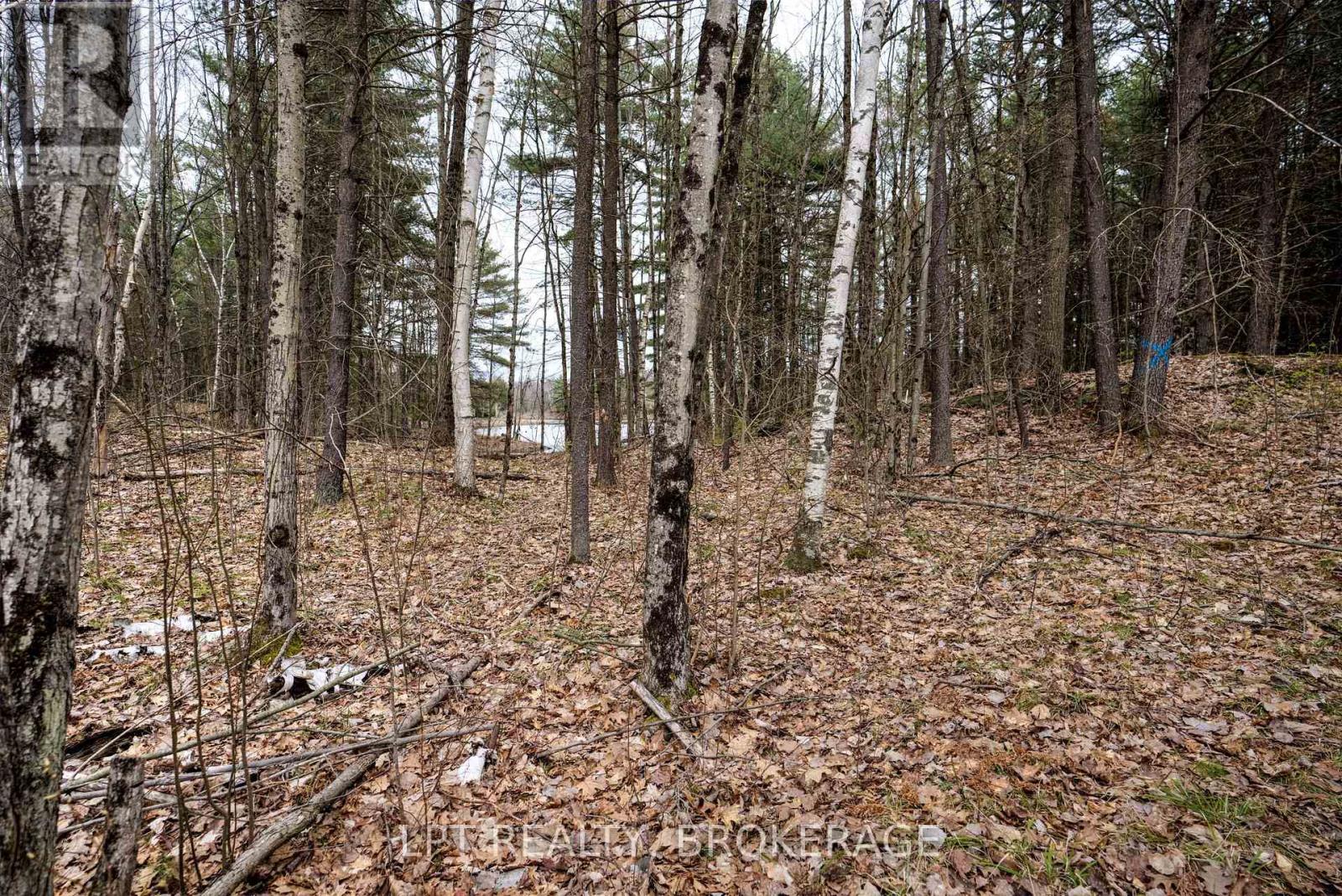 0 Old Sulphide Road, Tweed (Hungerford (Twp)), Ontario  K0K 3J0 - Photo 25 - X12193162