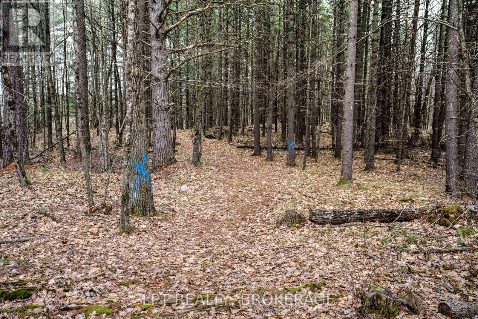 0 Old Sulphide Road, Tweed (Hungerford (Twp)), Ontario  K0K 3J0 - Photo 27 - X12193162
