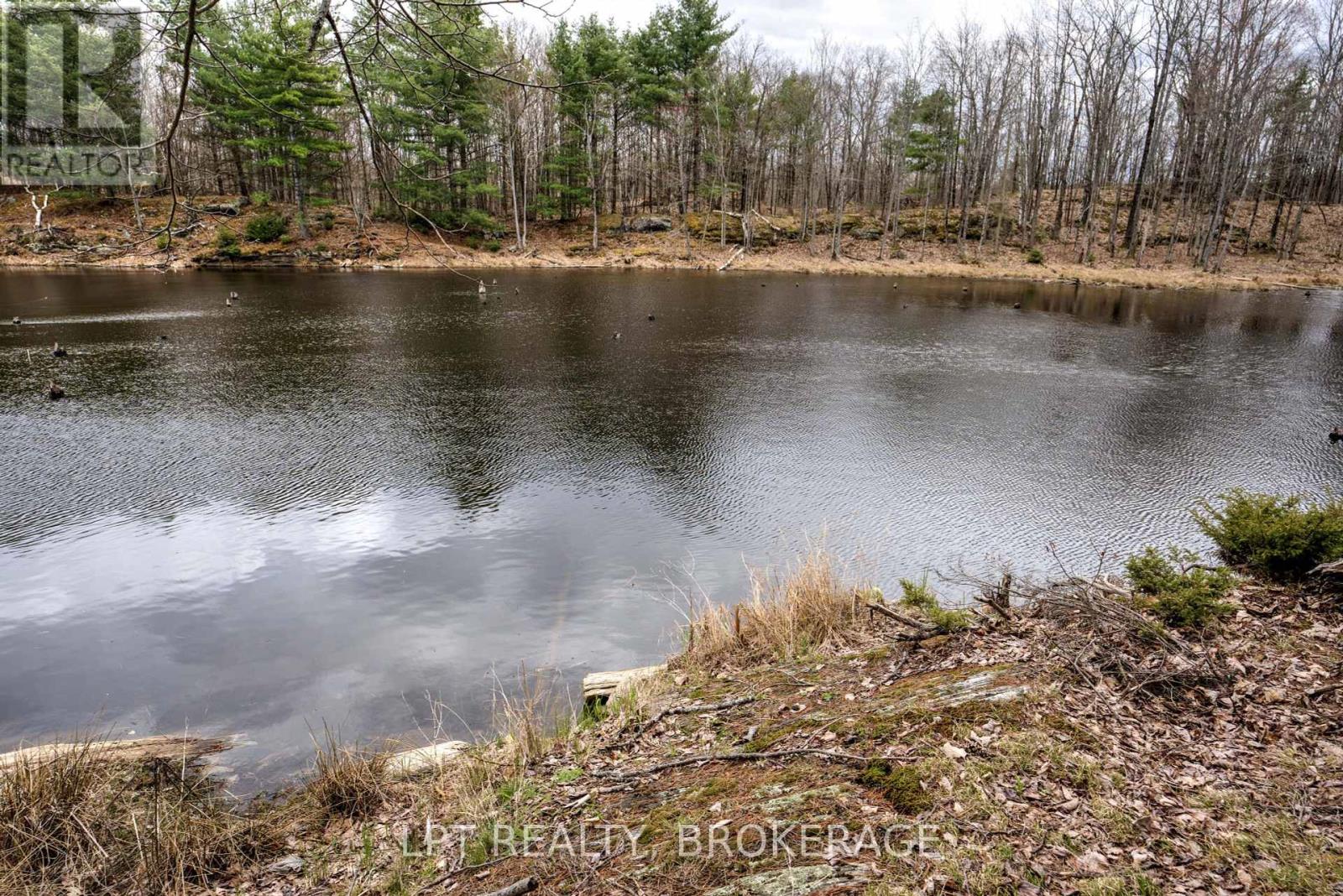 0 Old Sulphide Road, Tweed (Hungerford (Twp)), Ontario  K0K 3J0 - Photo 40 - X12193162