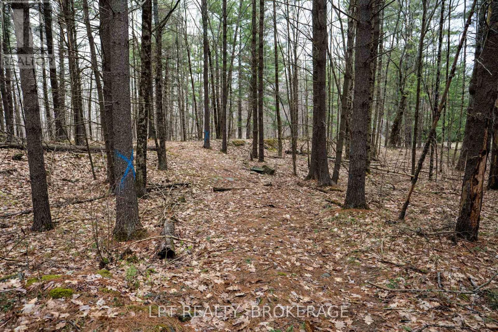 0 Old Sulphide Road, Tweed (Hungerford (Twp)), Ontario  K0K 3J0 - Photo 44 - X12193162