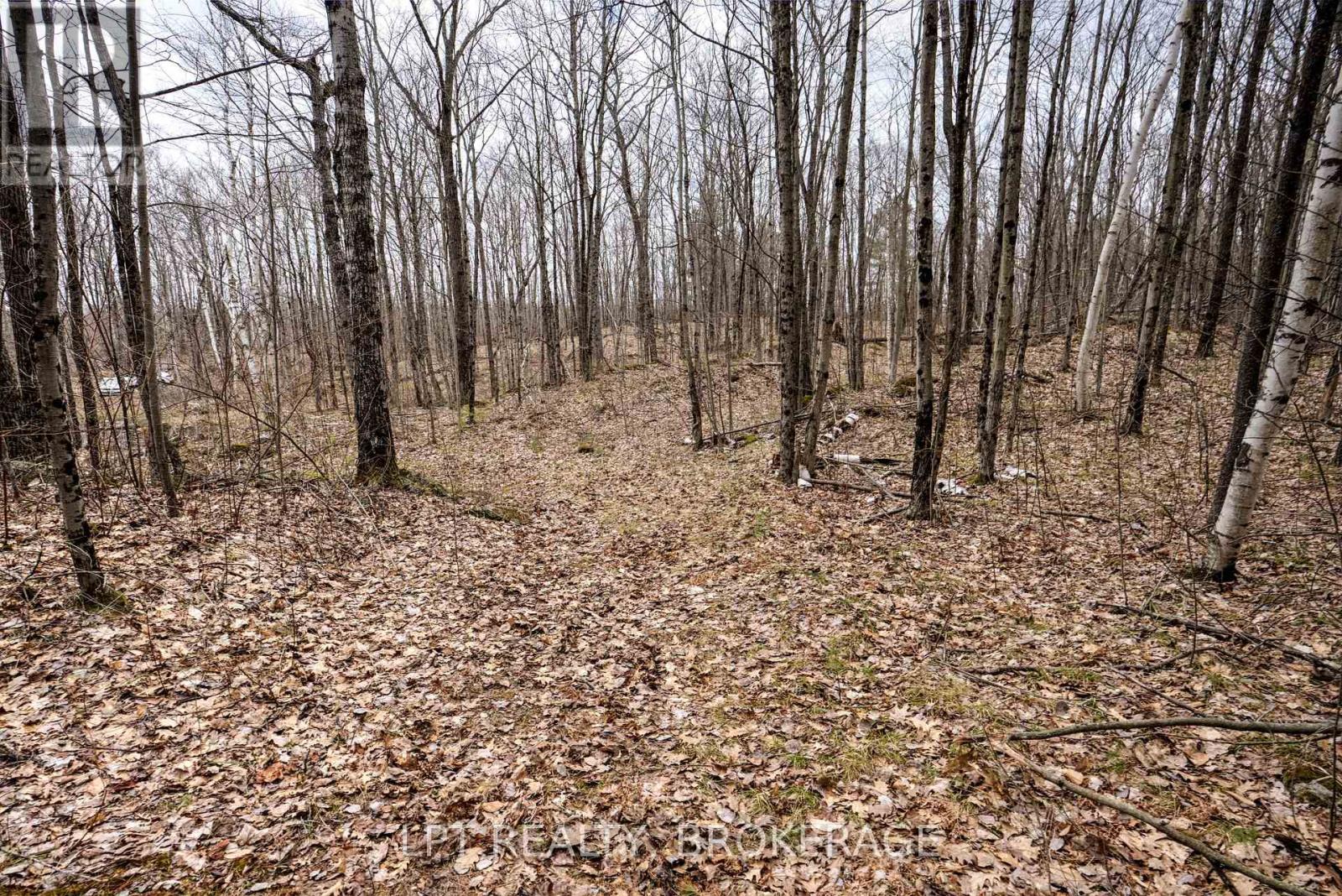 0 Old Sulphide Road, Tweed (Hungerford (Twp)), Ontario  K0K 3J0 - Photo 26 - X12193162
