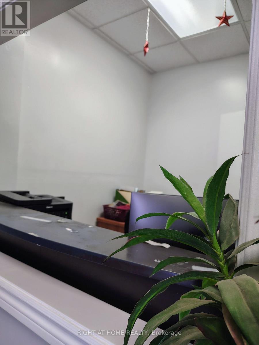 Main - 1254 Bloor Street W, Toronto, Ontario  M6H 1N5 - Photo 6 - W12425247