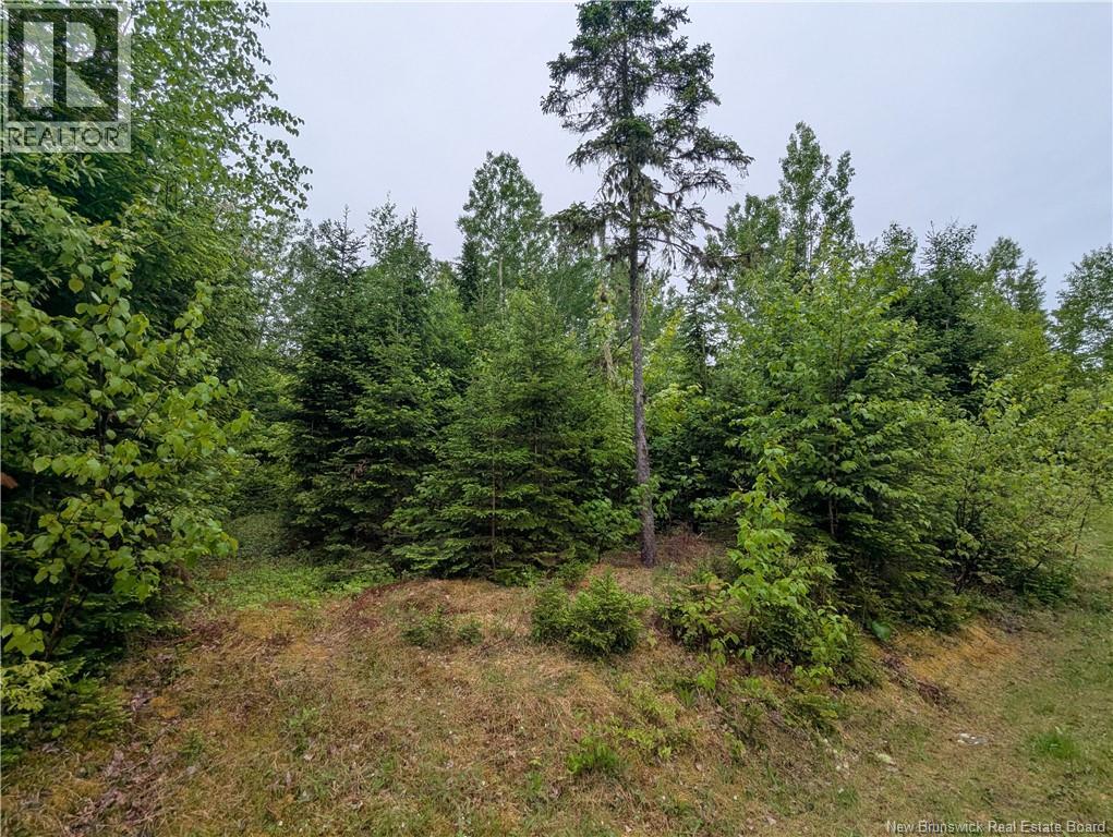 129 Rang 7 Et 8 Road, Kedgwick Nord, New Brunswick  E8B 1V8 - Photo 15 - NB120596