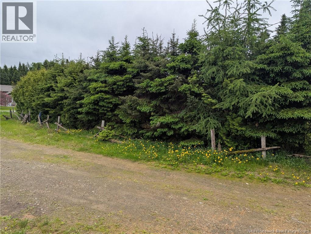 129 Rang 7 Et 8 Road, Kedgwick Nord, New Brunswick  E8B 1V8 - Photo 19 - NB120596