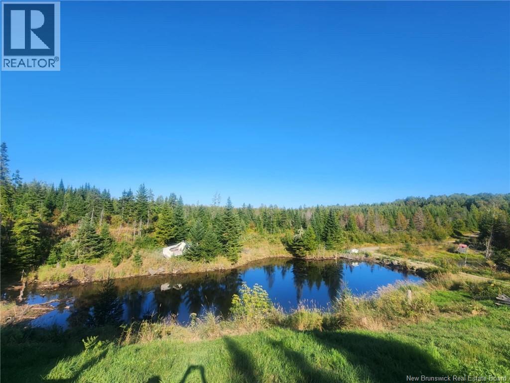 129 Rang 7 Et 8 Road, Kedgwick Nord, New Brunswick  E8B 1V8 - Photo 40 - NB120596