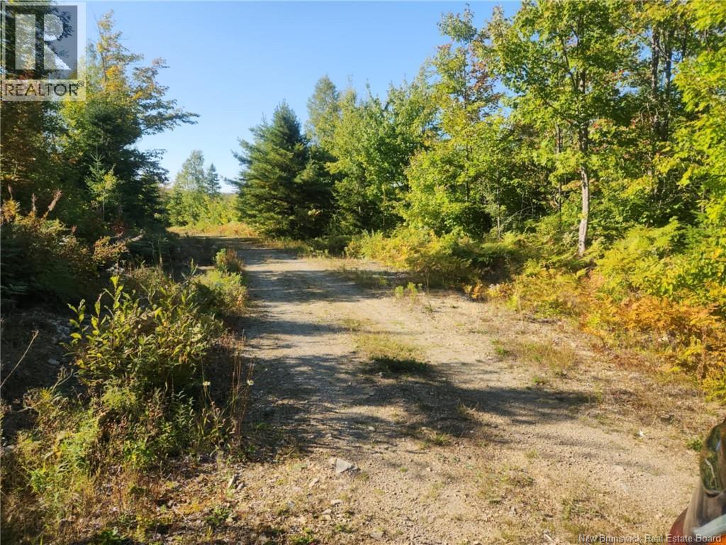 129 Rang 7 Et 8 Road, Kedgwick Nord, New Brunswick  E8B 1V8 - Photo 36 - NB120596