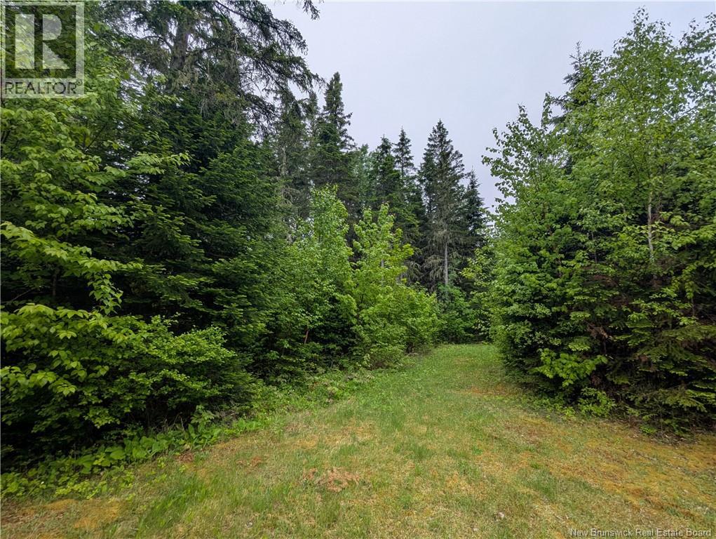 129 Rang 7 Et 8 Road, Kedgwick Nord, New Brunswick  E8B 1V8 - Photo 16 - NB120596