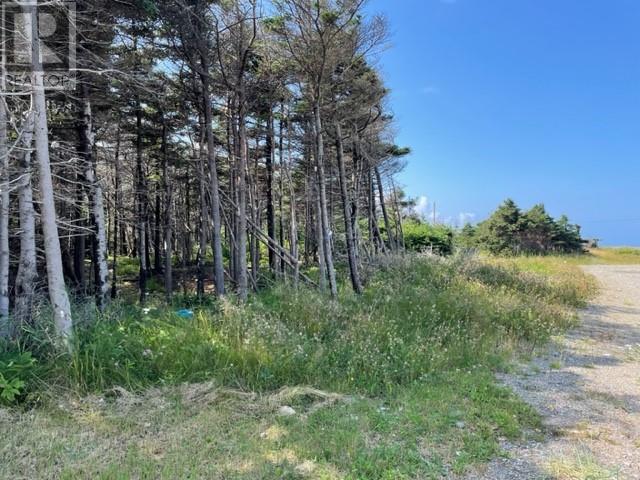 16 Beach Street, Stephenville Crossing, Newfoundland & Labrador  A0N 2C0 - Photo 3 - 1290881