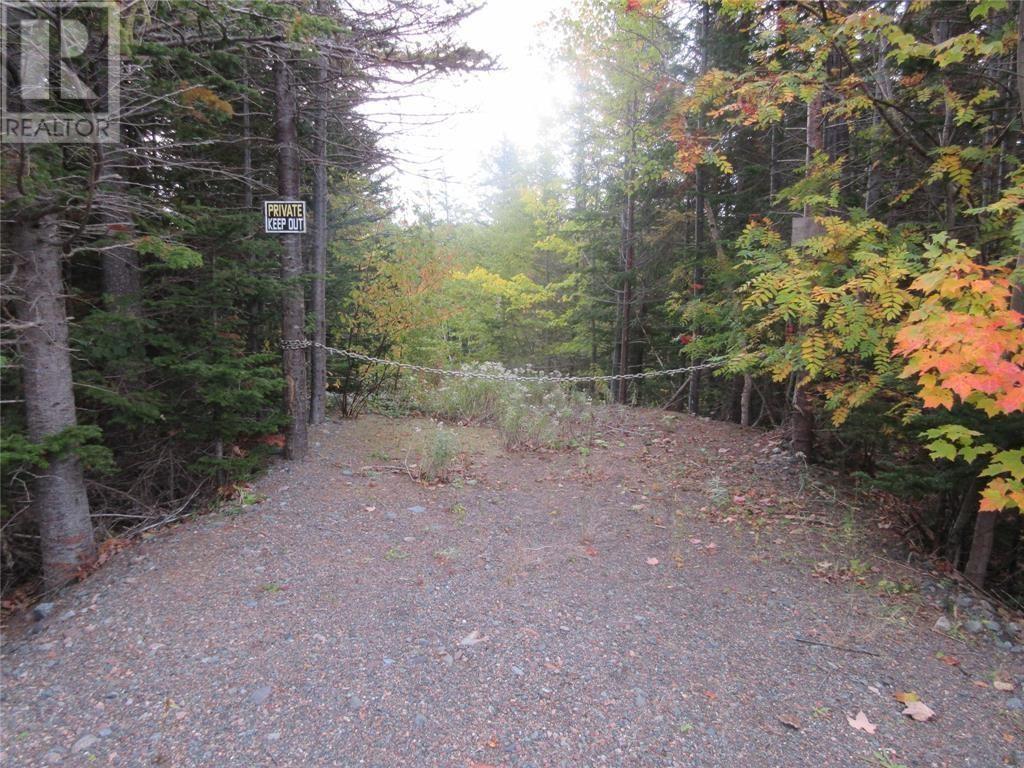 450 Main Street, Northern Arm, Newfoundland & Labrador  A0H 1E0 - Photo 3 - 1290834