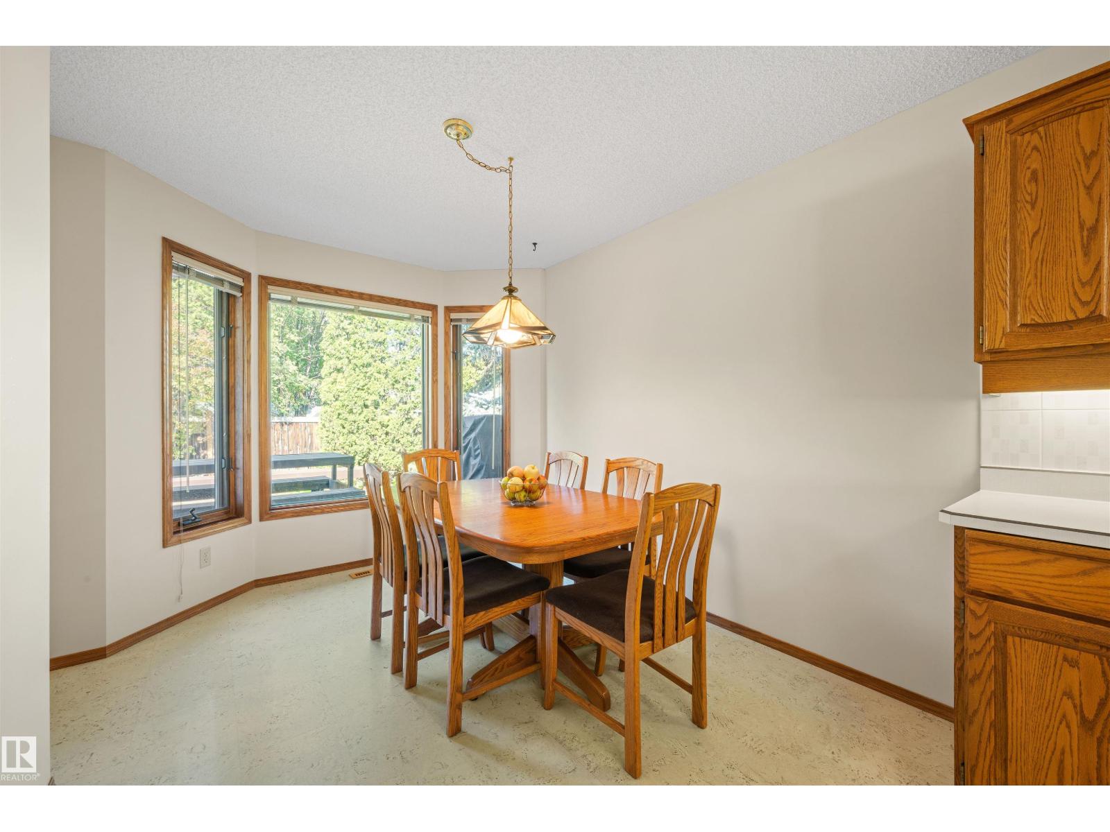 12412 28 Av Nw, Edmonton, Alberta  T6J 4E4 - Photo 21 - E4459368