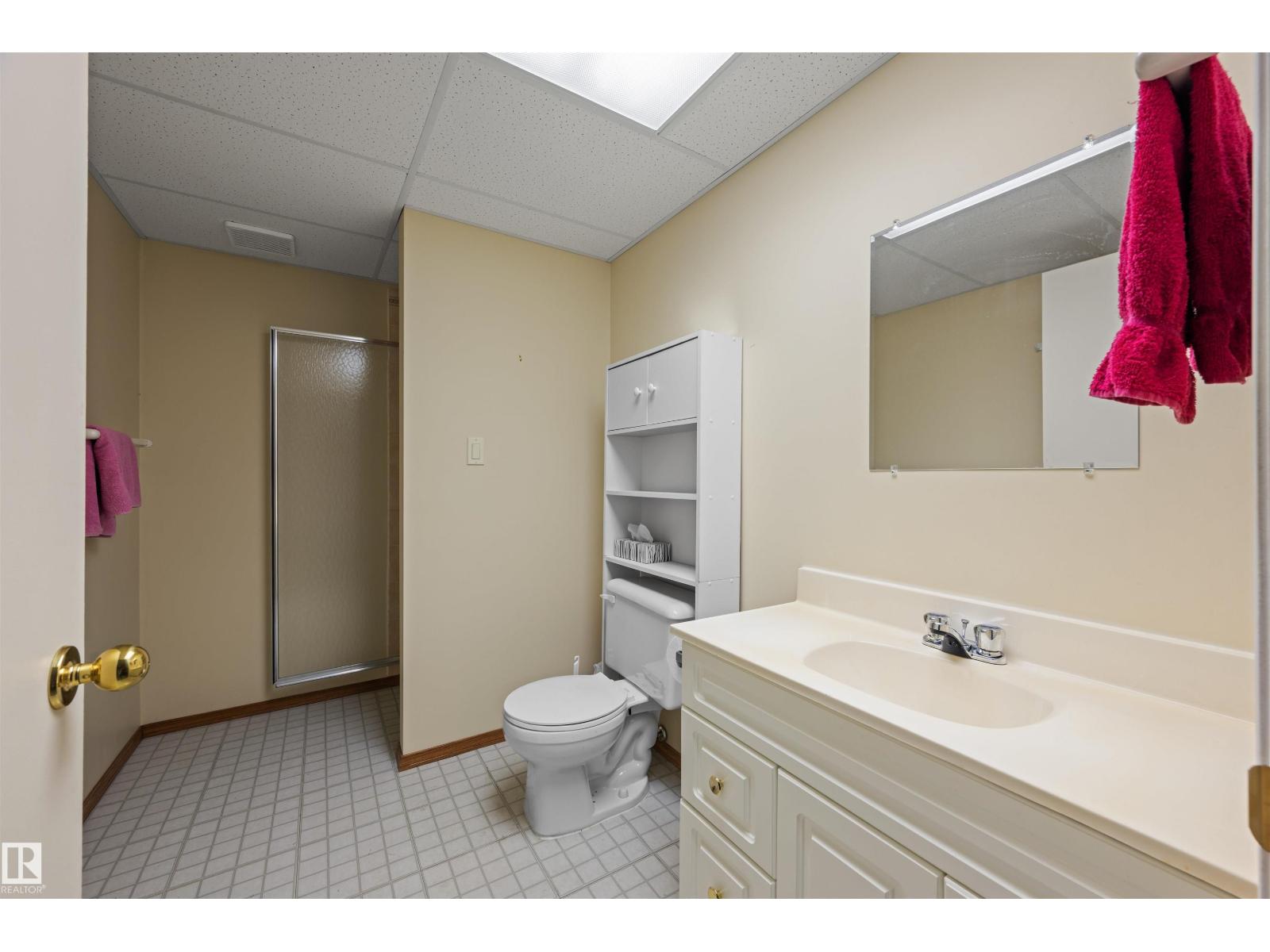 12412 28 Av Nw, Edmonton, Alberta  T6J 4E4 - Photo 40 - E4459368