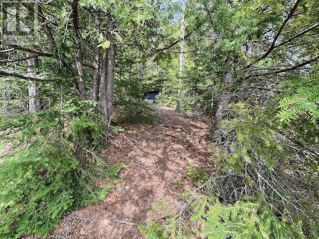 164 Doves Rd, Oxdrift, Ontario  P0V 2J0 - Photo 36 - TB251288