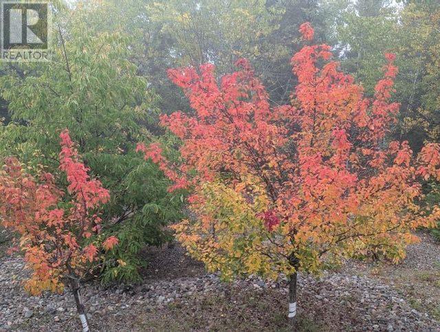 164 Doves Rd, Oxdrift, Ontario  P0V 2J0 - Photo 40 - TB251288