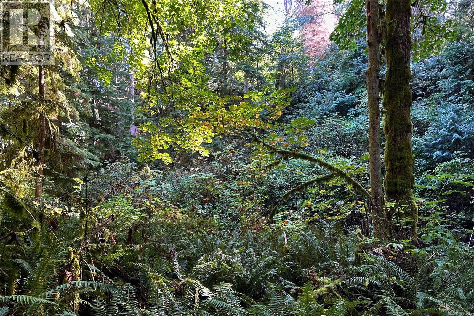 235 Spearfish Rd, Qualicum Beach, British Columbia  V9K 2A6 - Photo 81 - 1014906