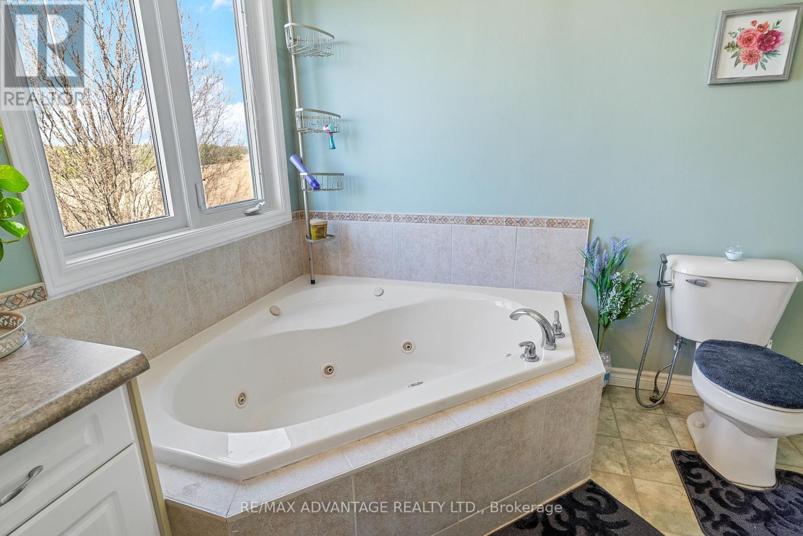 129 Thamesview Crescent, St. Marys, Ontario  N4X 1E1 - Photo 29 - X12425709